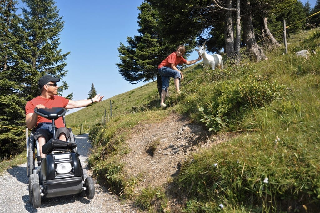 La carrozzina con le montagne intorno