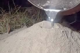 La strage delle formiche colate vive