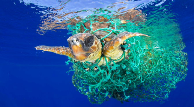 Milioni di euro buttati in un mare di plastica